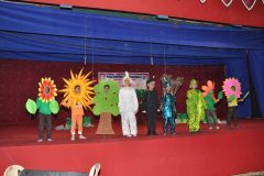 Annual-Function-2018-19-11