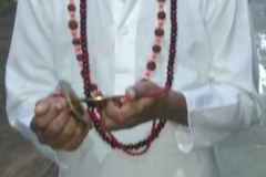 Ashadhi-Ekadashi-Celebration-2020-10